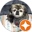 tracy gibson Avatar